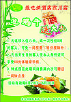 维也纳 端午