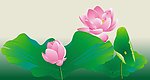 夏日清凉荷花图