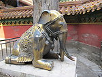 大象