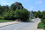 公园风景