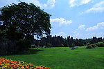 公园风景