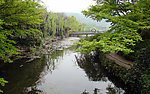 杭州西湖 湖面 杨柳
