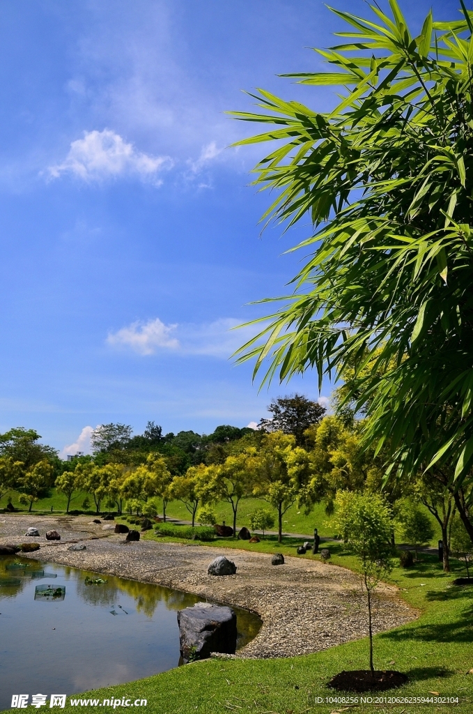公园风景