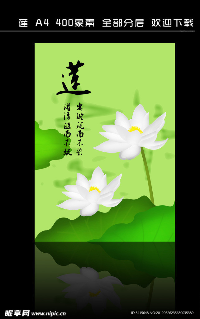 莲花