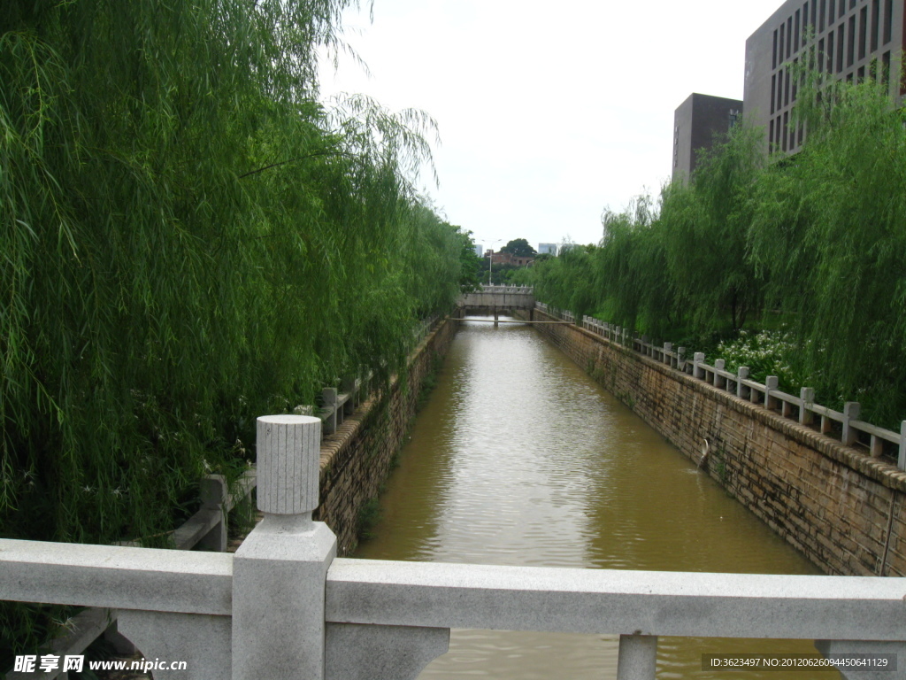 厦门校园风景图片