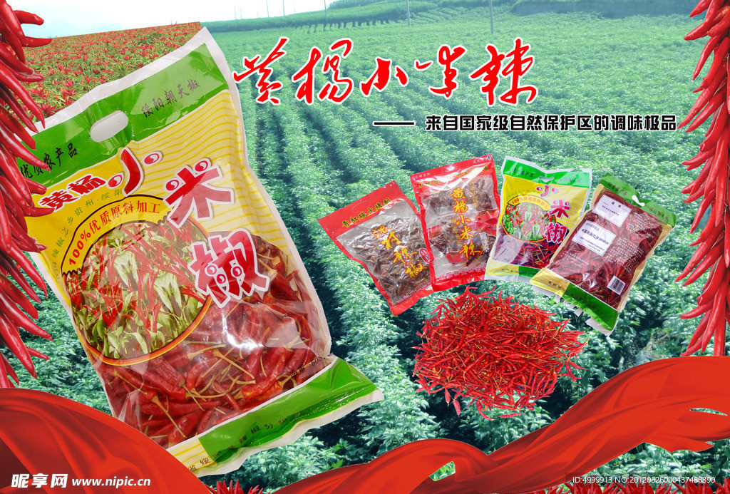 黄杨小米辣