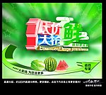 低价大抢鲜