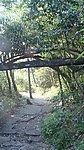 莽山