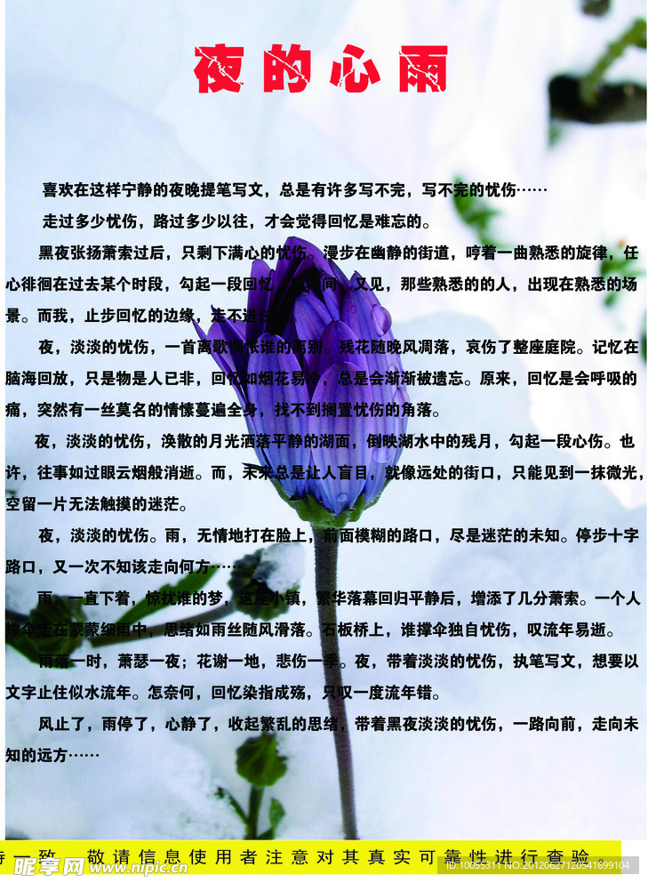 夜的心雨