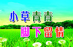 草坪牌