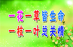 草坪牌