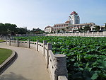 厦门风景