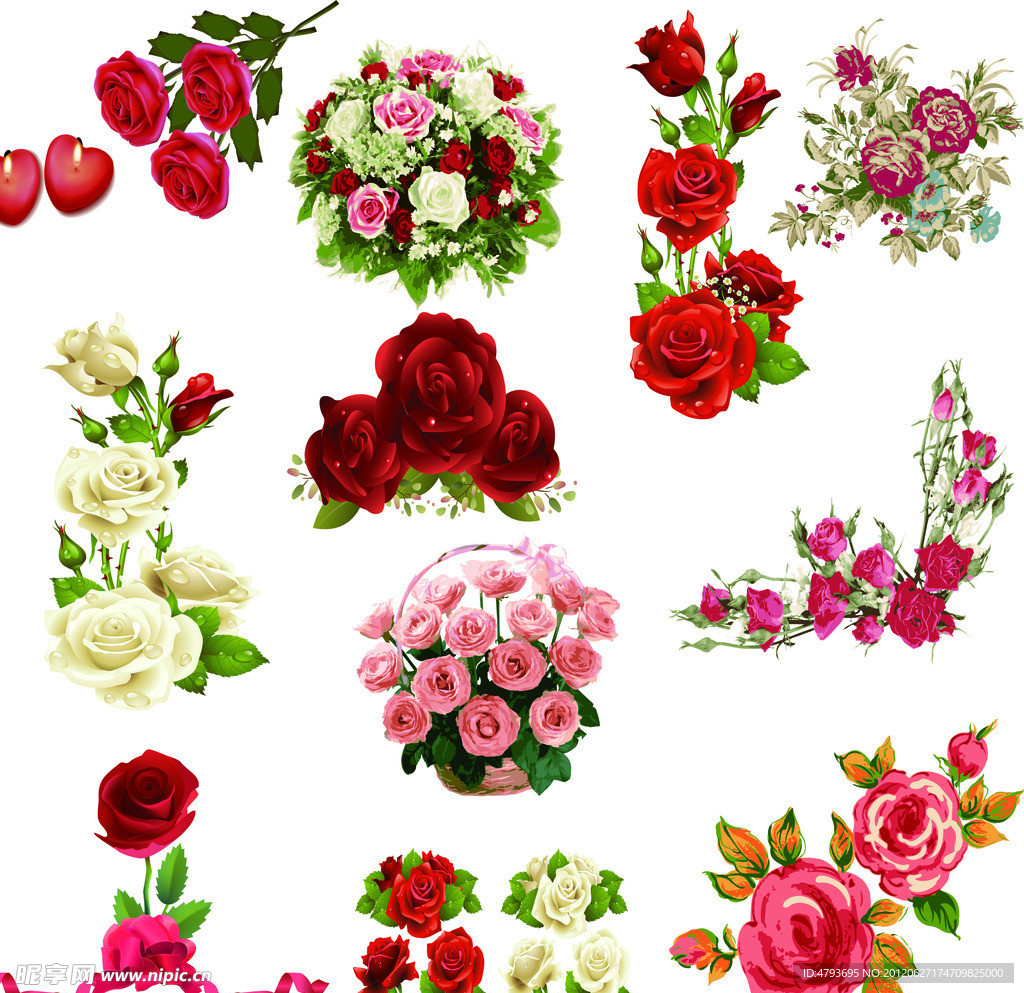 玫瑰花