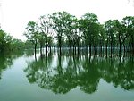 五柳风景区