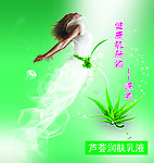 芦荟