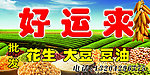 好运来