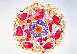 花瓣