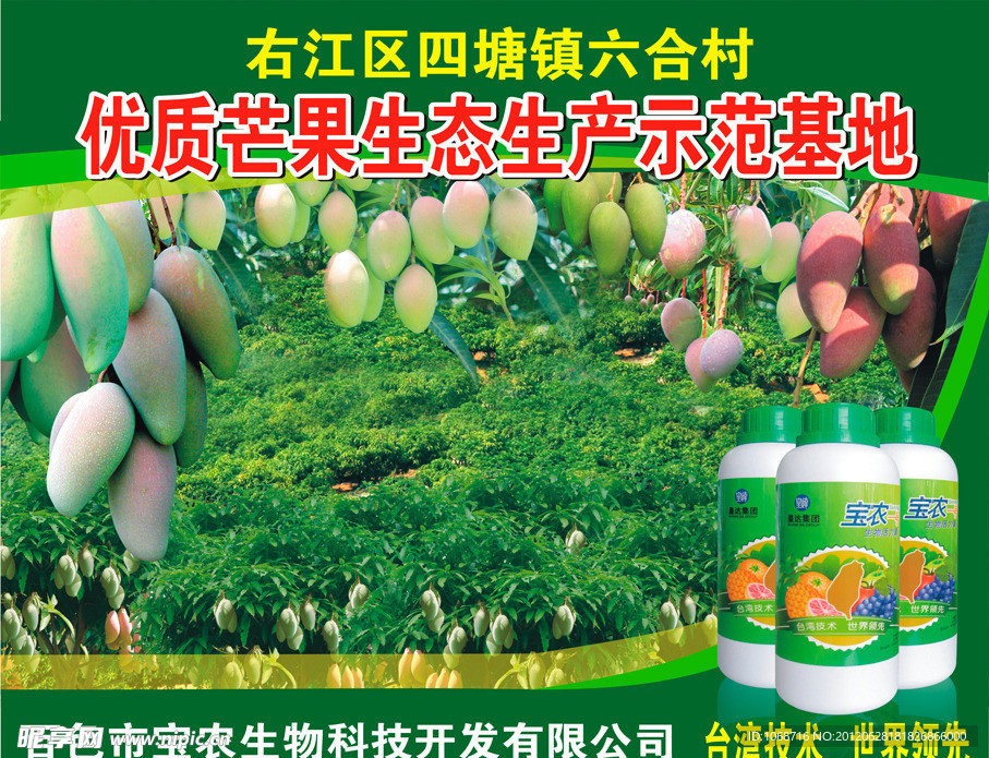 芒果示范基地