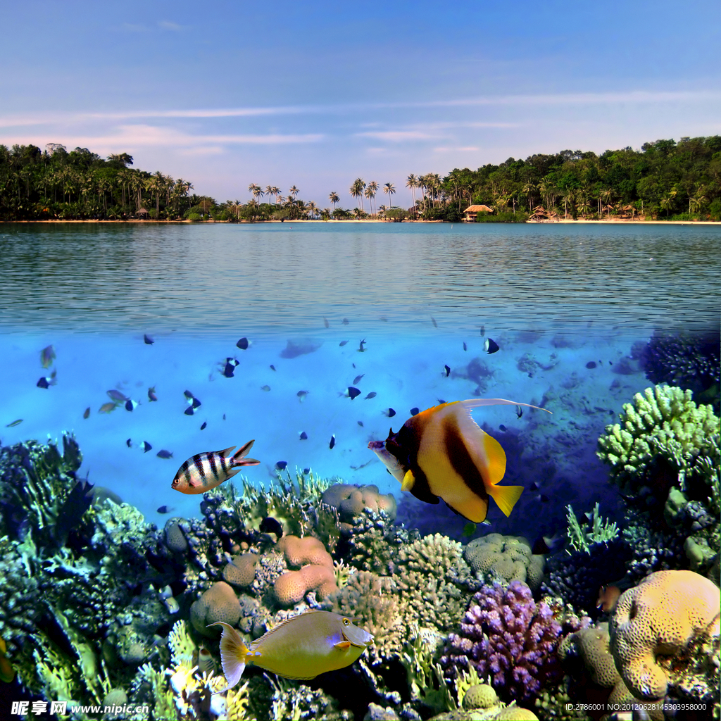 水族馆 海底世界