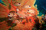 水族馆 海底世界