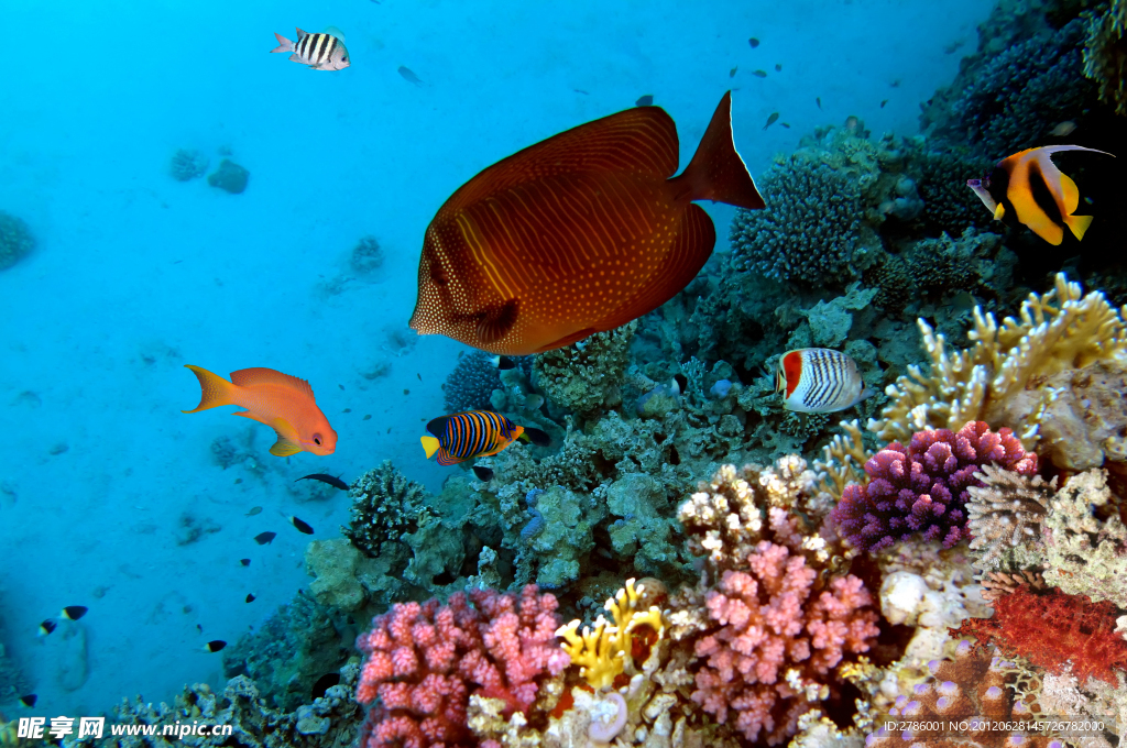 水族馆 海底世界