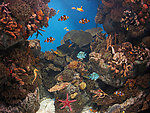 水族馆 海底世界