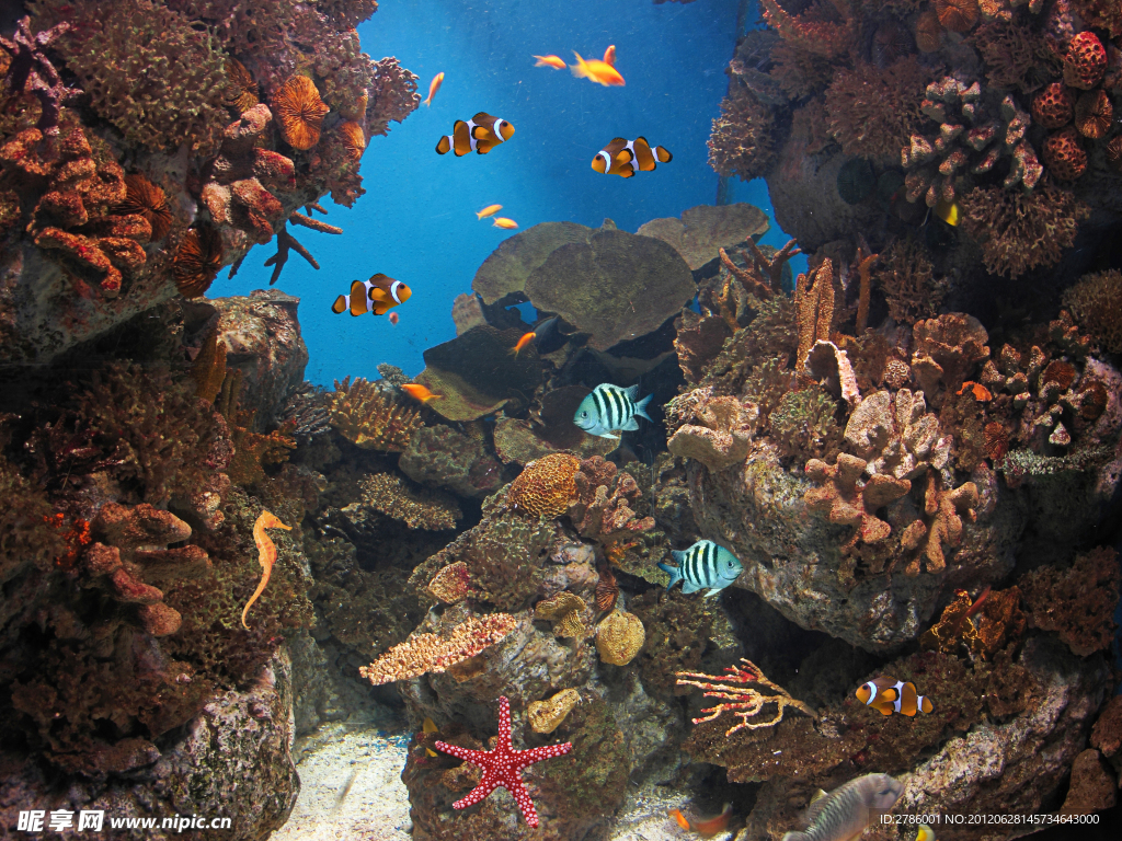 水族馆 海底世界