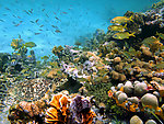 水族馆 海底世界