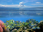 水族馆 海底世界