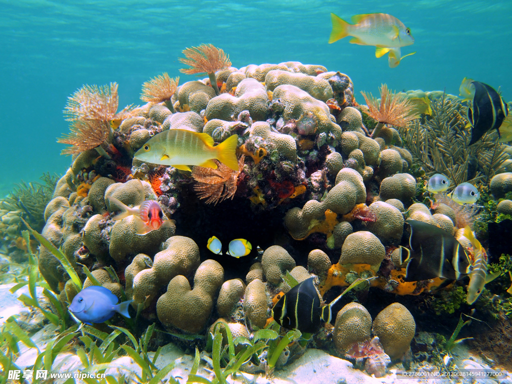 水族馆 海底世界