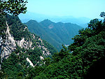 远望山色