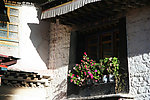 窗台小花