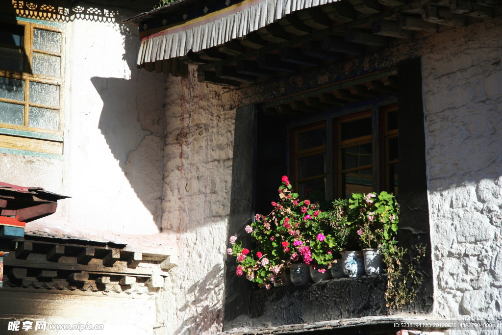 窗台小花