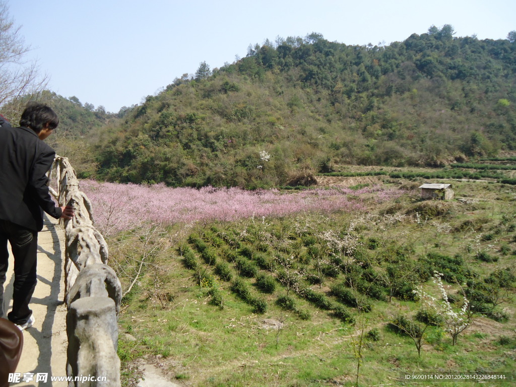 山里风景
