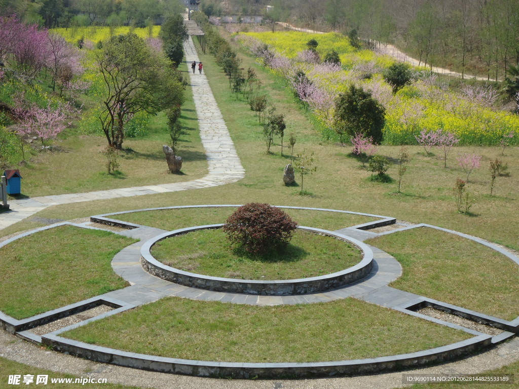 大片草地