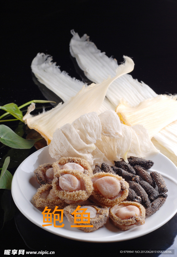 鲍鱼
