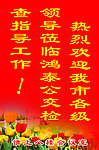 热烈欢迎领导指导工作