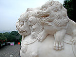 狮雕
