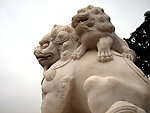 石雕狮子