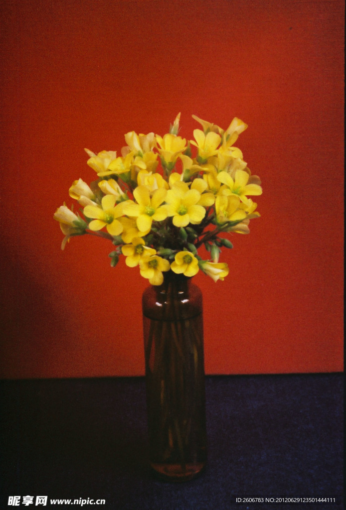 小花