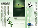 茶宣传页
