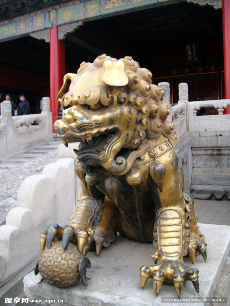 金狮