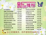 采蝶轩新菜推荐