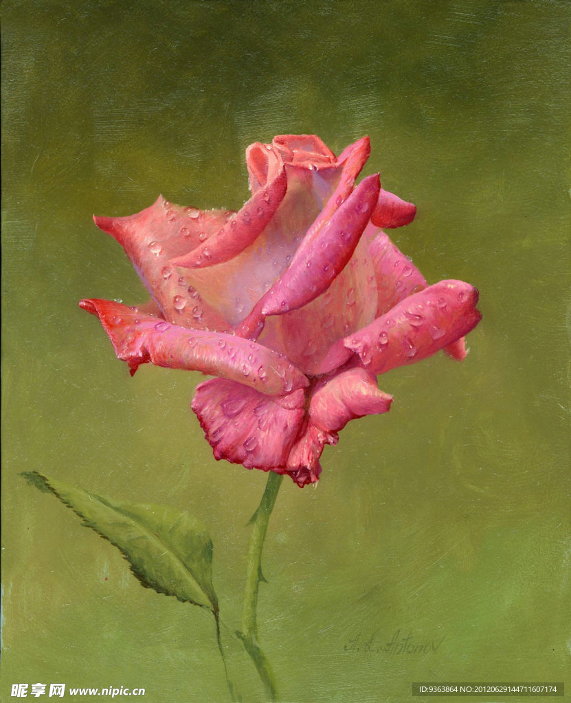 粉玫瑰油画