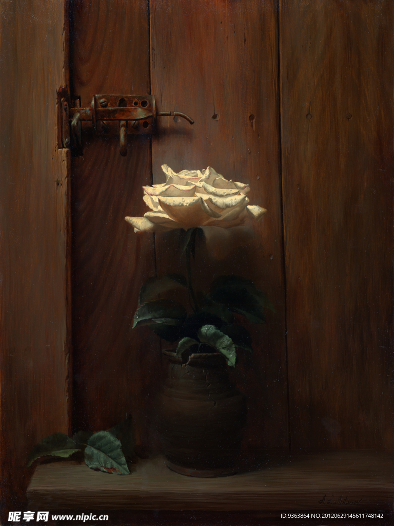 白玫瑰油画