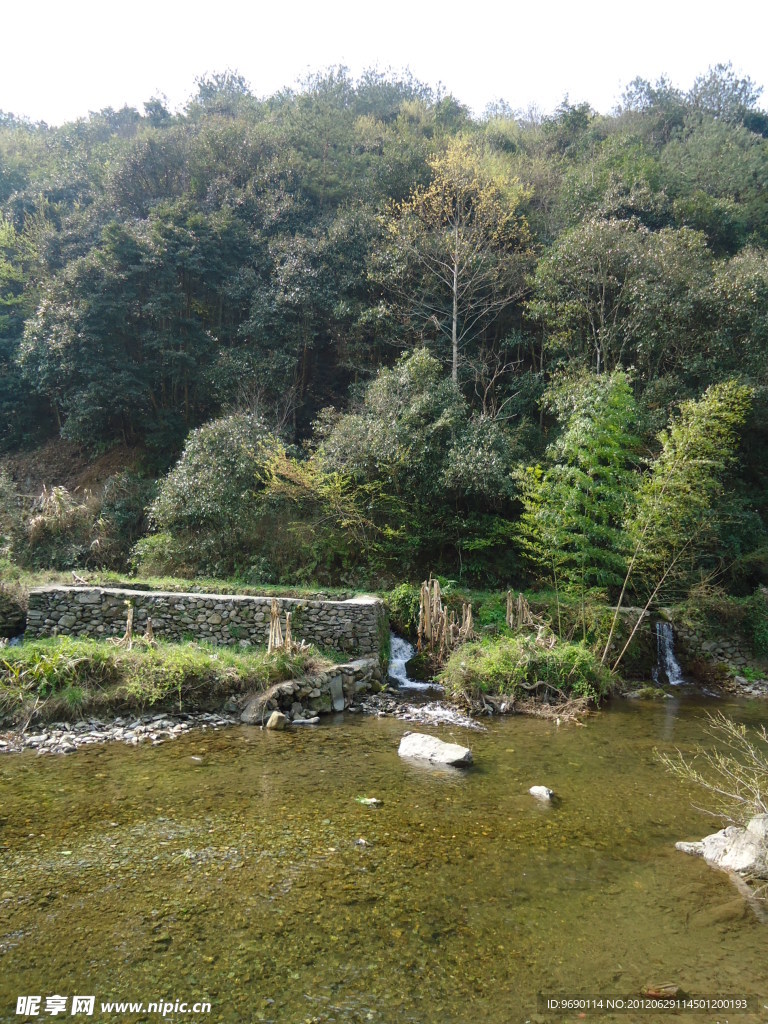 绿树风景