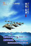 国际精神
