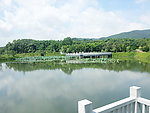 风景图
