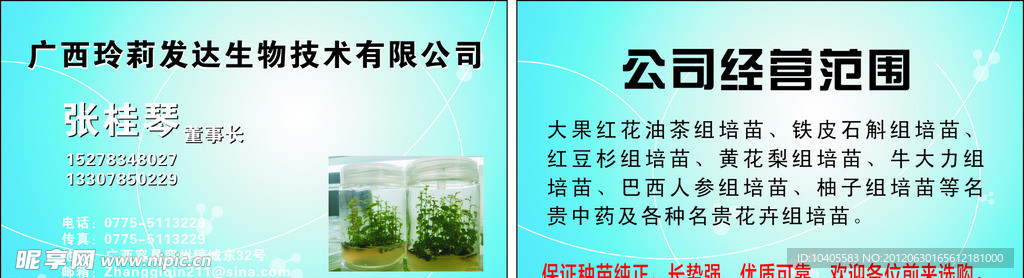 生物公司名片