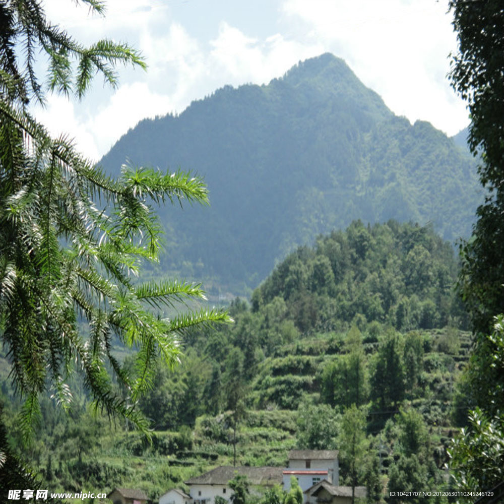 青山白云